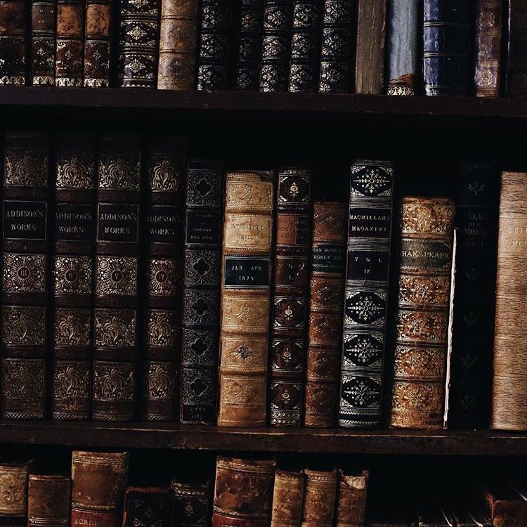 AHint0fMagic's tweet photo. ㅤ
⠀⠀꒰⠀
  ⠀  𝐂𝐇𝐀𝐑𝐀𝐂𝐓𝐄𝐑 𝐈𝐍𝐅𝐎.    ྀི
       ︶⊹︶︶୨୧︶︶⊹︶
ㅤ https://t.co/UGgRdbaD7k