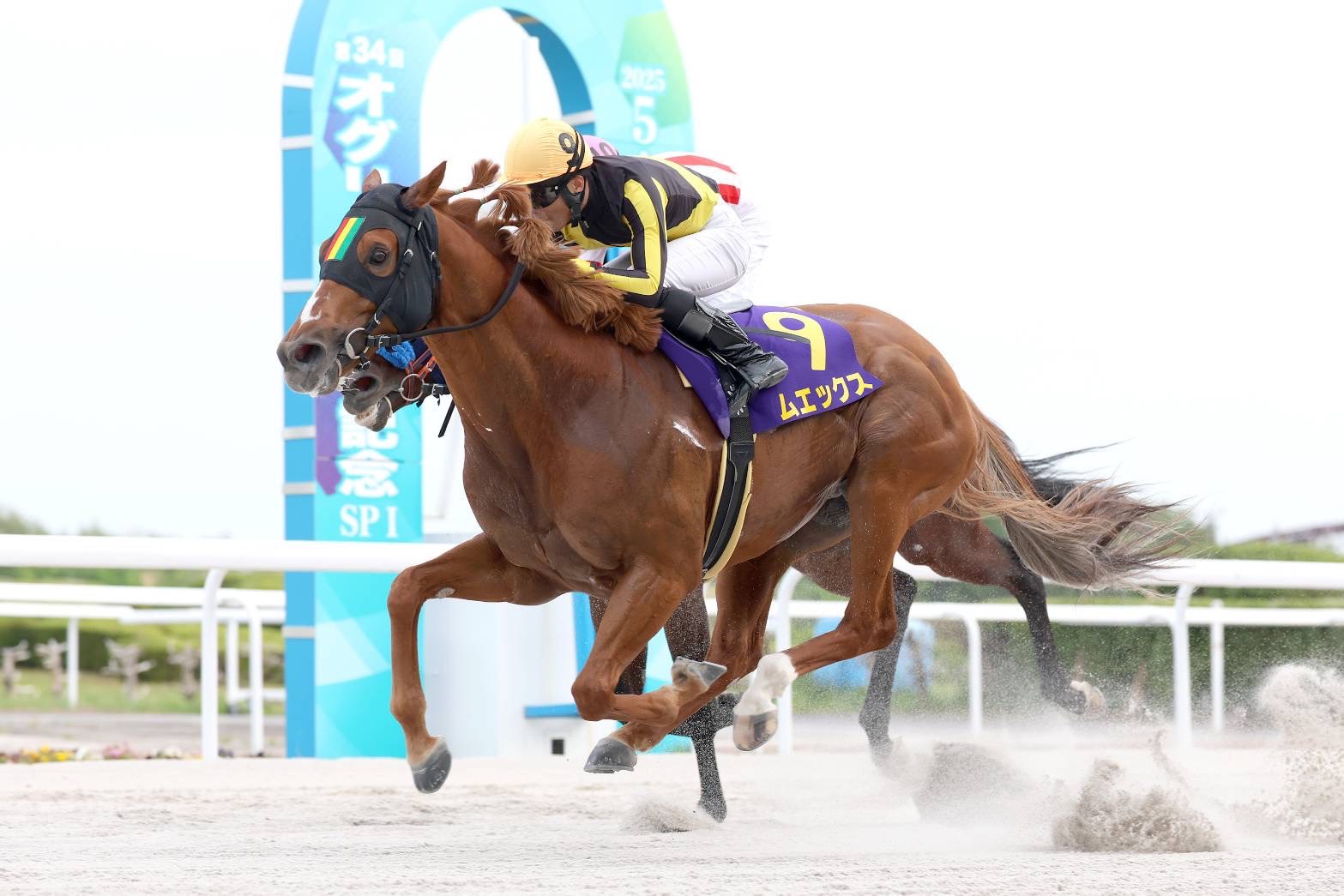 宮田式裏ワザ万穴術 : 全競馬場でとことん儲ける 宮田式裏ワザ万穴術 全競馬場でとことん儲ける (サラ・ブックス