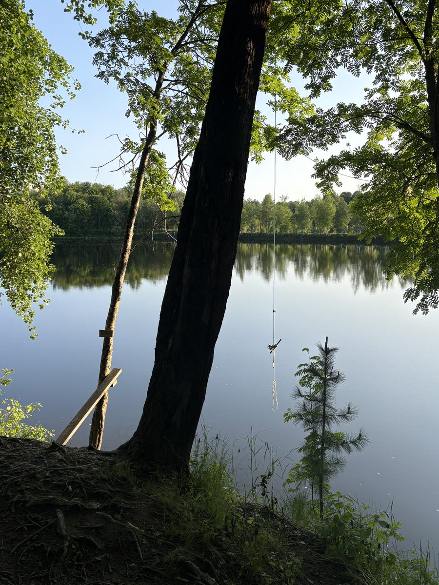 Adam Frew tweet media