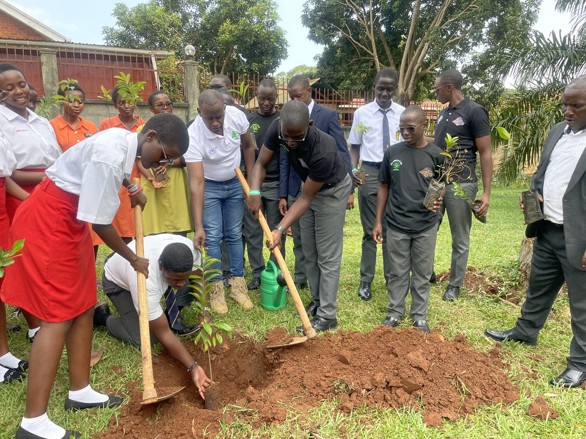 Uganda Youth Go-Green tweet media