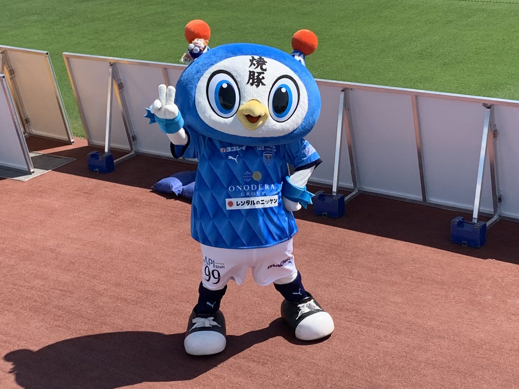 横浜FＣ　ブルータイガー　サポーターグループ 横浜FCサポーターが選手を後押し(17枚) | ゲキサカ