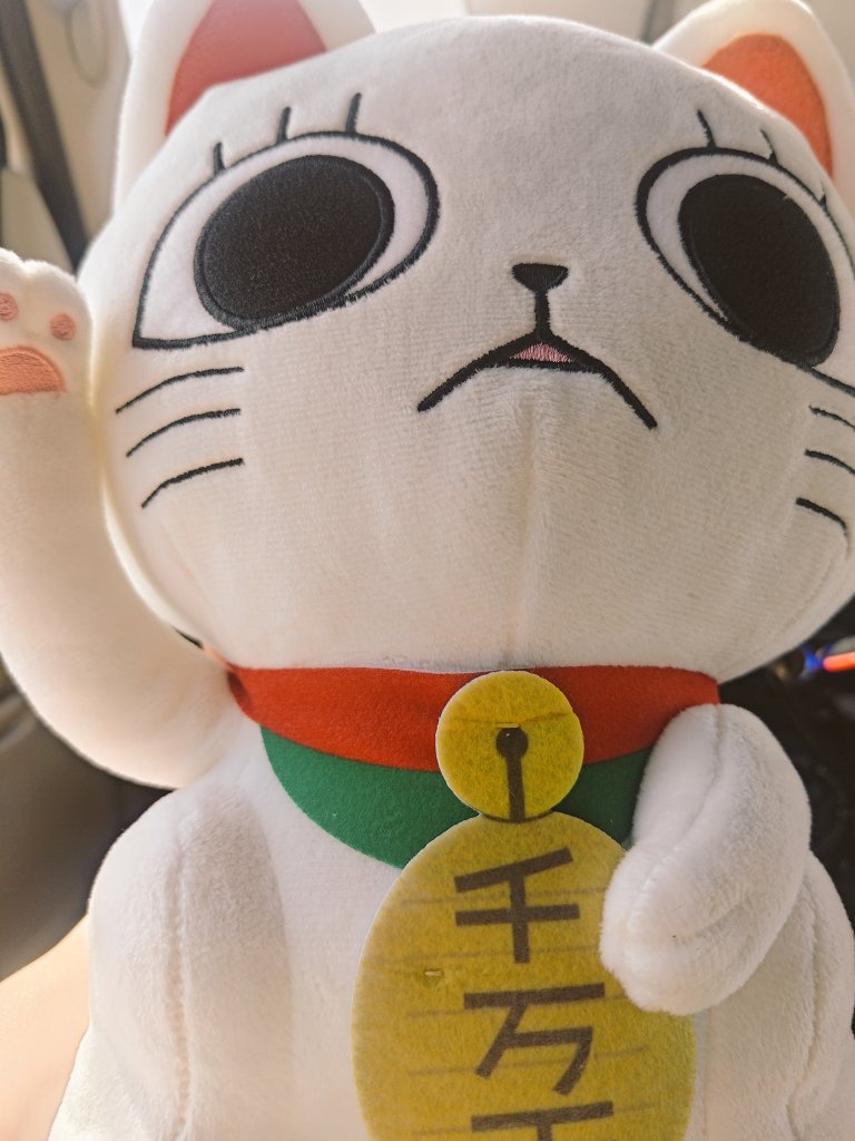 yukimee623's tweet image. かわいい