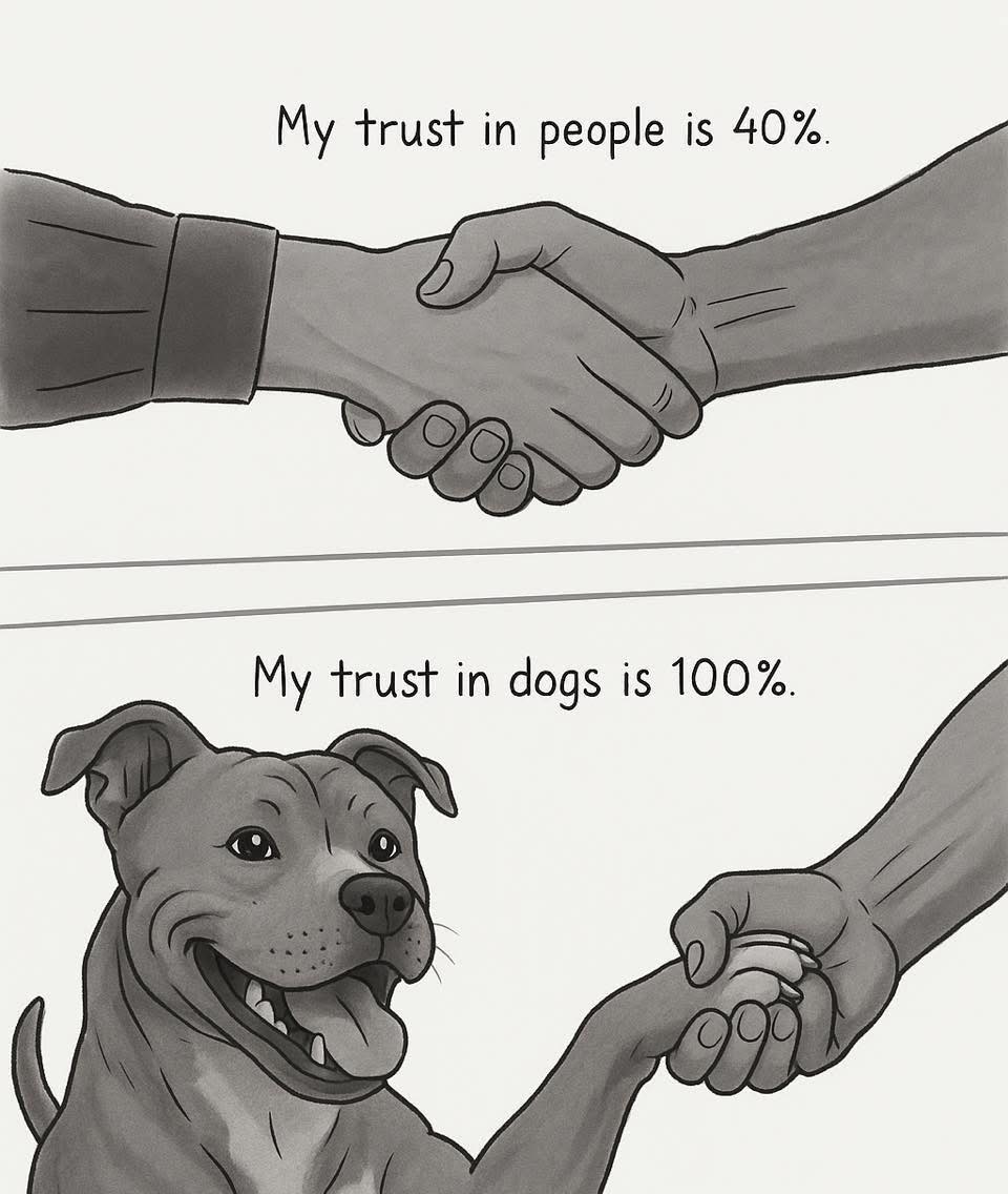 mas may tiwala pa ako sa fur ko