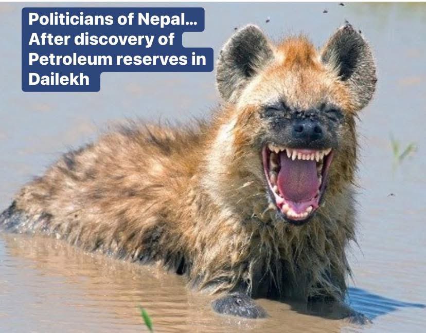 Deepak P Koirala, MD (Blue tick) 🐣 (@dpkoirala) on Twitter photo 