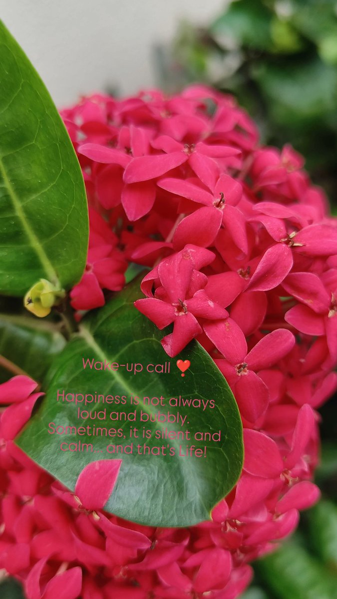#HappyVibesOnly
#GoodVibesOnly
#PositiveVibesOnly
😍✨🪄💫❤️