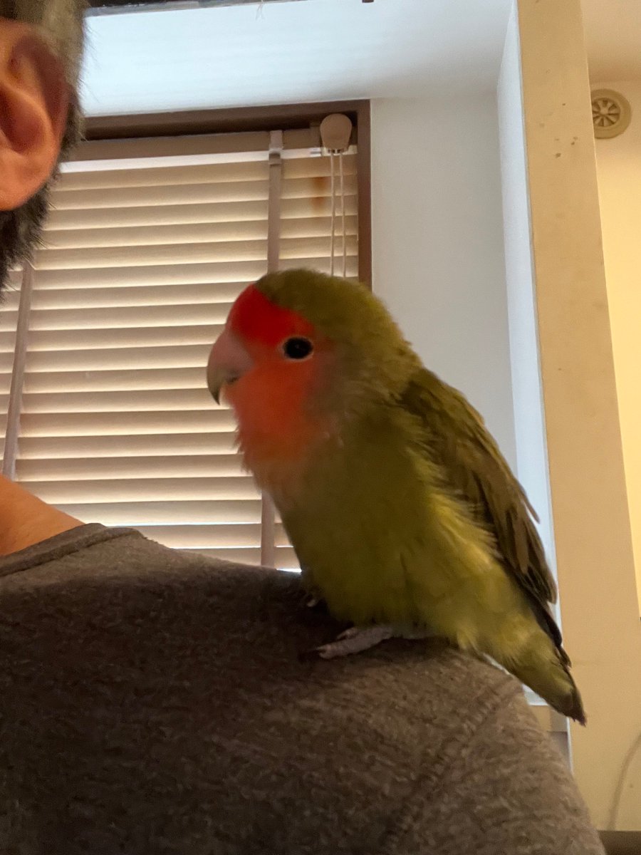 認定NPO法人TSUBASA -新施設クラファン達成しました！- tweet media