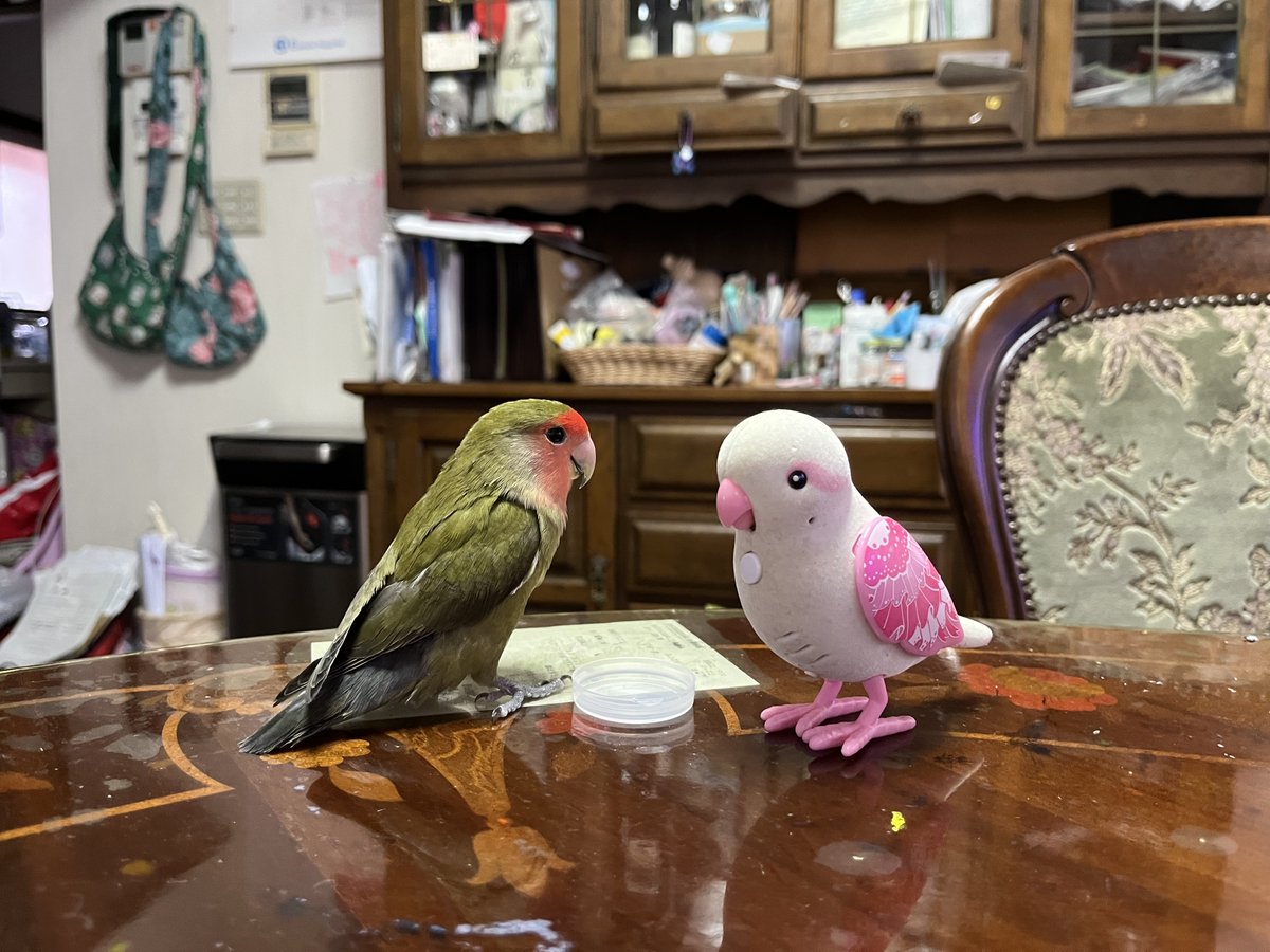 認定NPO法人TSUBASA -新施設クラファン達成しました！- tweet media