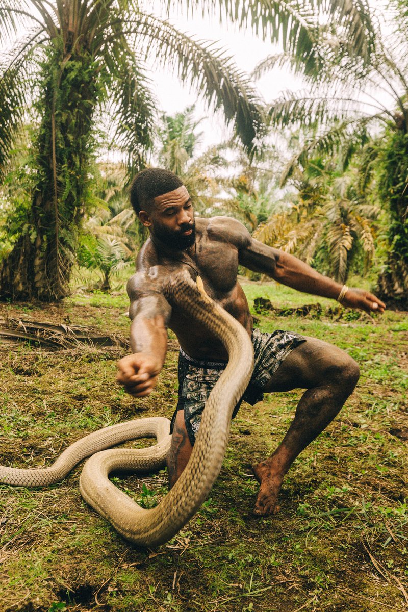 mike holston tweet media