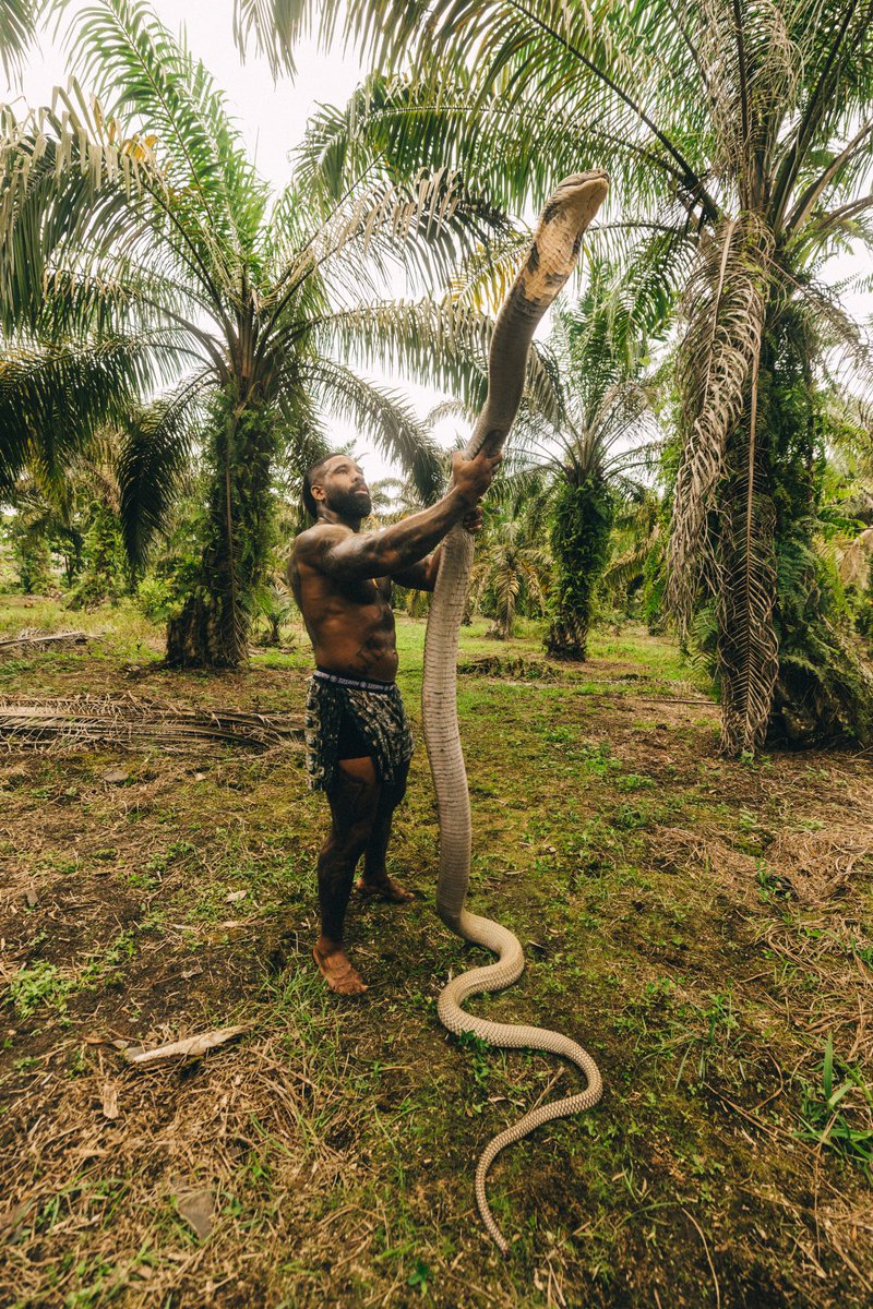 mike holston tweet media