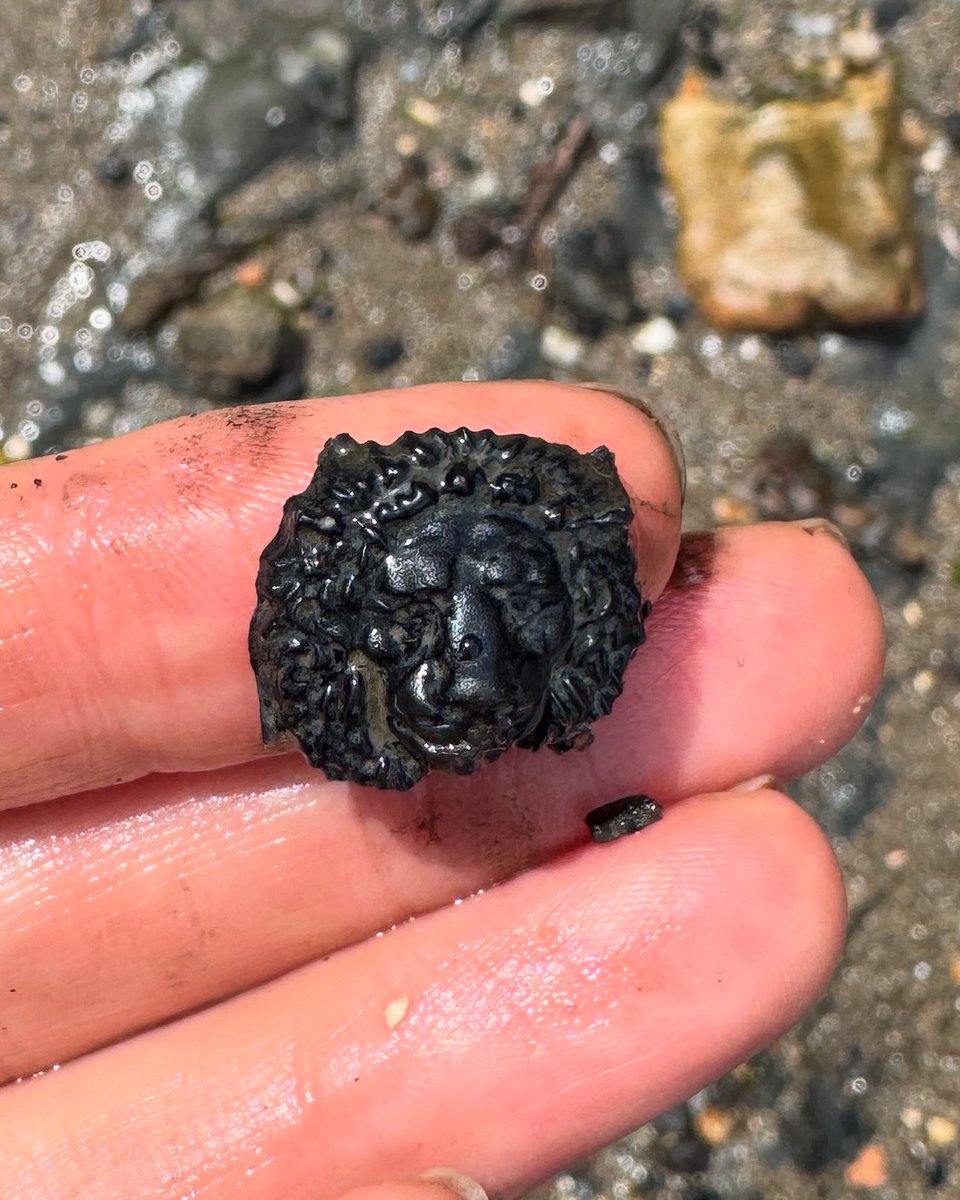A glass lion. It might be part of an ornate Victorian mourning button (black glass to imitate jet, which was made popular by the grieving queen), or it could be part of a decorated glass vessel. 

#mudlarkingfinds #mudlarking #mudlark