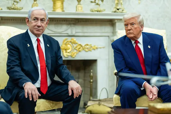 Vivid.🇮🇱 tweet media