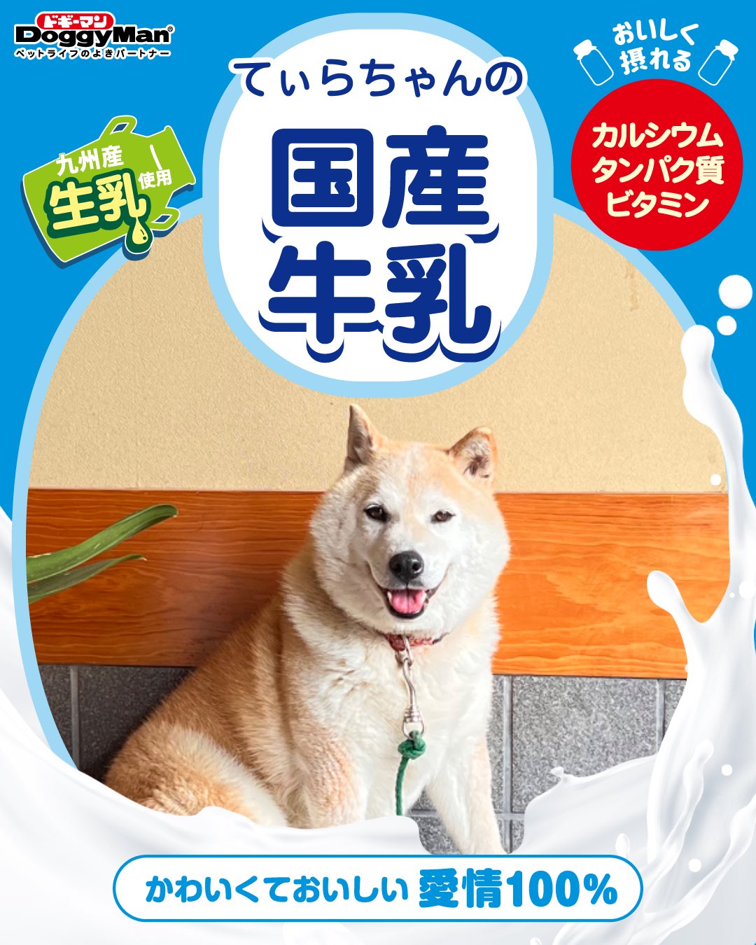 即購入歓迎⑅︎◡̈︎* りゅうき | ちょっと不良な感じで。 流石に夏日すぎて一旦半袖