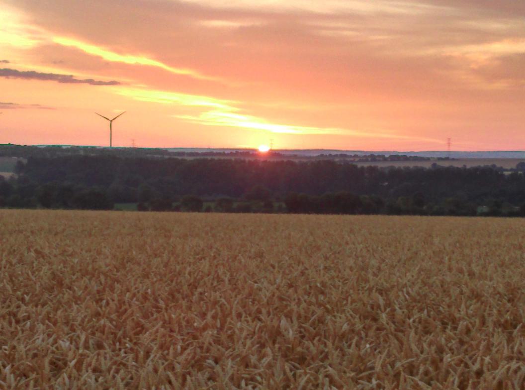 Sunday morning sunrise. 
Keep smiling tweeters 😀