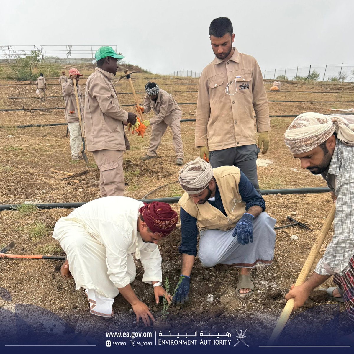 تنفذ #هيئة_البيئة بمحافظة ظفار حملة لاستزراع 1400 شجرة برية من أشجار التين البري والسغوت وأنواع محلية أخرى، وذلك في مسور أمبروف بولاية رخيوت خلال الفترة 22–26 يونيو 2025، بمشاركة جمعية صون الطبيعة (قيد التأسيس) والمجتمع المحلي.

تأتي هذه الحملة ضمن