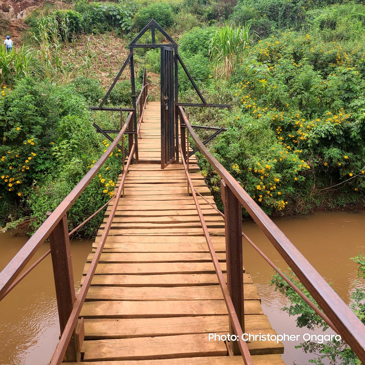 Why could a bridge be having a gate like this?