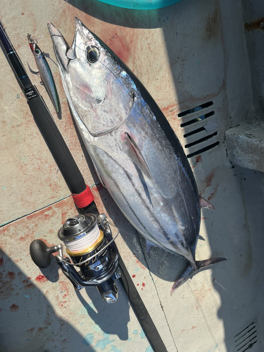 kuririn2008K's tweet photo. 魚は浮かないし、口使わんし厳しい1日だったけど、船中1本のみの貴重な1本をゲット🎣
6キロの大判カツオは食べても最高！ https://t.co/zERx8rLMsB