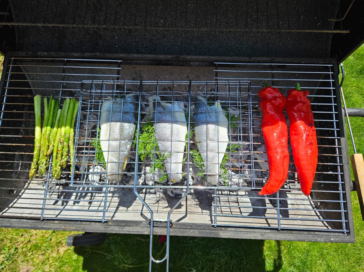 If there’s such a thing as a ‘healthy BBQ’ - then what else can I do? Grilled veggies, lean protein, no regrets. 🥗🔥
#HealthyBBQ #BBQSeason #GrillLife #SummerVibes #LowCarbLiving #CleanEating