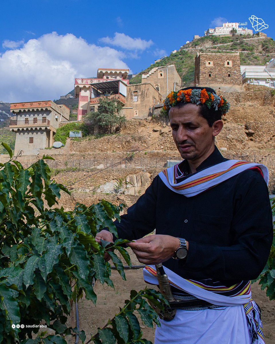 Saudi Arabia tweet media