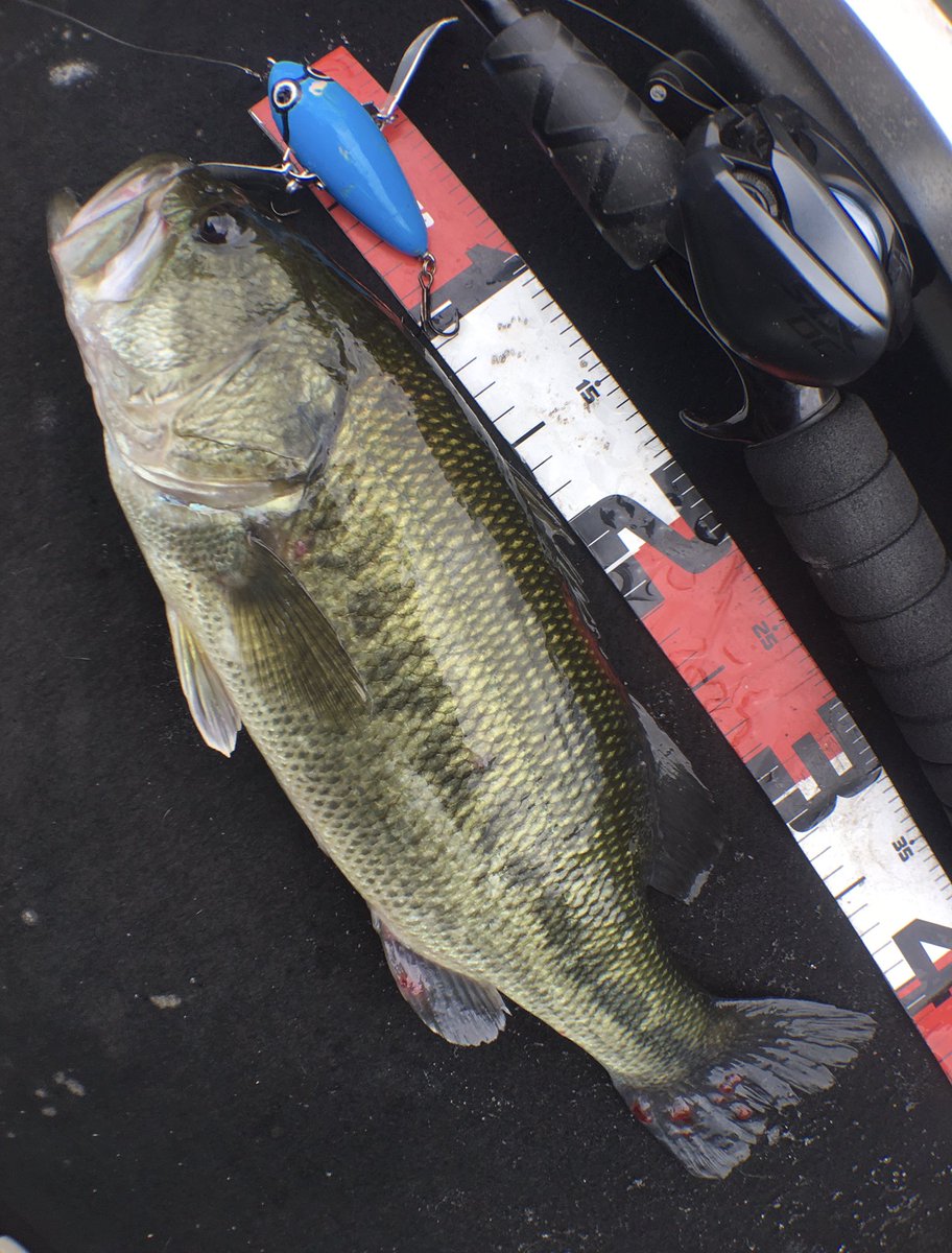 ナナ (@roku_maru_nana) / Posts / X