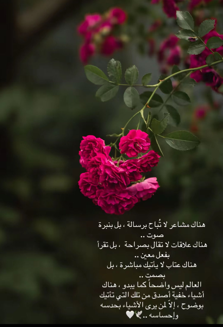 ؛سراب آلحب؛ tweet media