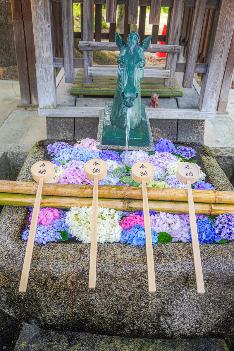 藤森神社にて。