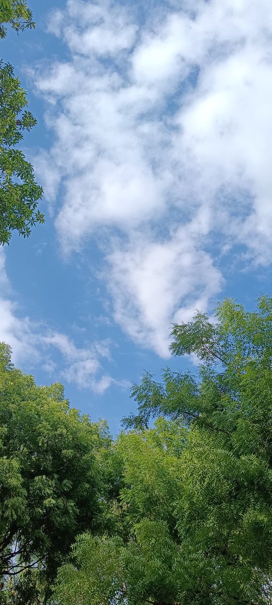 "सबसे खूबसूरत दृश्य है, खुद की वापसी देखना।💐☀️😘
Good evening 🌆 all X mate's 😘
