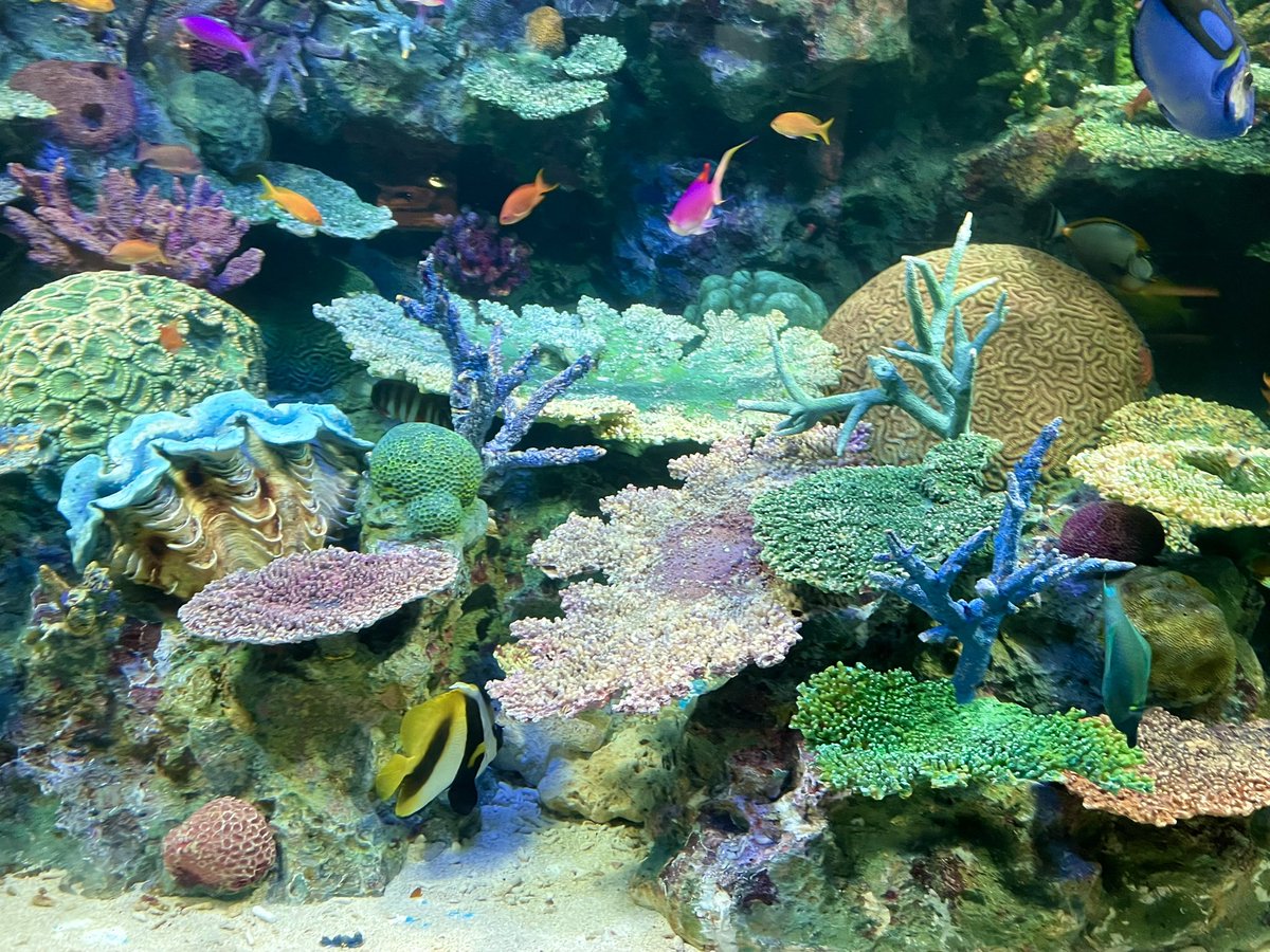 HARIO0316's tweet photo. サンシャイン水族館 https://t.co/yHhCGCwRce