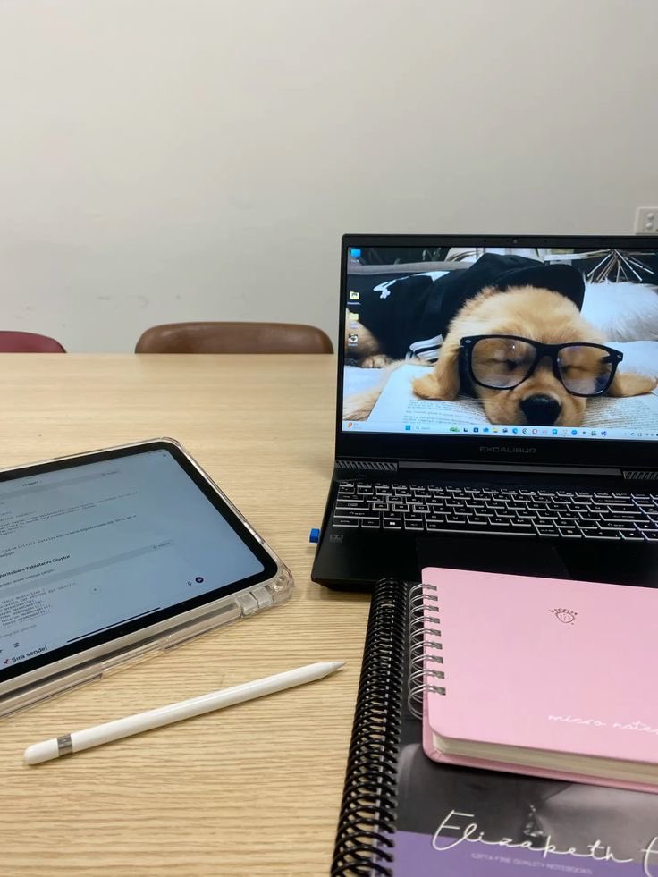 cafestudys's tweet photo. 𓏲ᥫ᭡ ₊ ⊹ ˑ 𓂃  @cafestudys intro .ᐟ

    hi i'm joy ! she her ; 04L
    bs accountancy 
    i like cats, kpop &amp; kdramas 

 { #studytwtph #archivetwt #studytwt }🎐
   ♡  or  ↻  to  be  moots! https://t.co/mVIdhDCExa