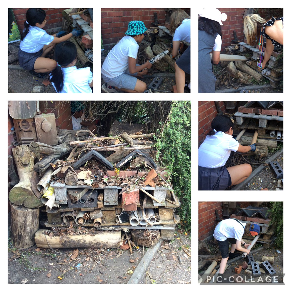 This week, our OPAL gardening club built our first bug hotel in our 'Observation Station' area in the Junior playground. The children collected lots of materials including: old bricks, wooden pallets, old roof tiles, cardboard tubes, corrugated cardboard, pine cones and dead wood