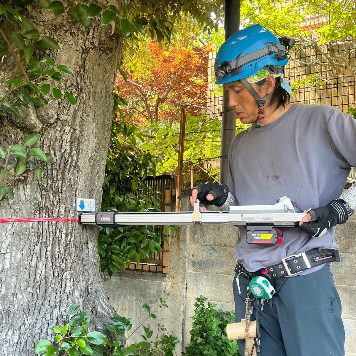 thetreessenzaki's tweet photo. スダジイの機器診断
樹木の内部を診断しています。

#仙坐木 #樹木医  #樹木診断 #レジストグラフ #IMLRESI #pd500  #樹木診断機器 #スダジイ https://t.co/Q0YxuufY6O