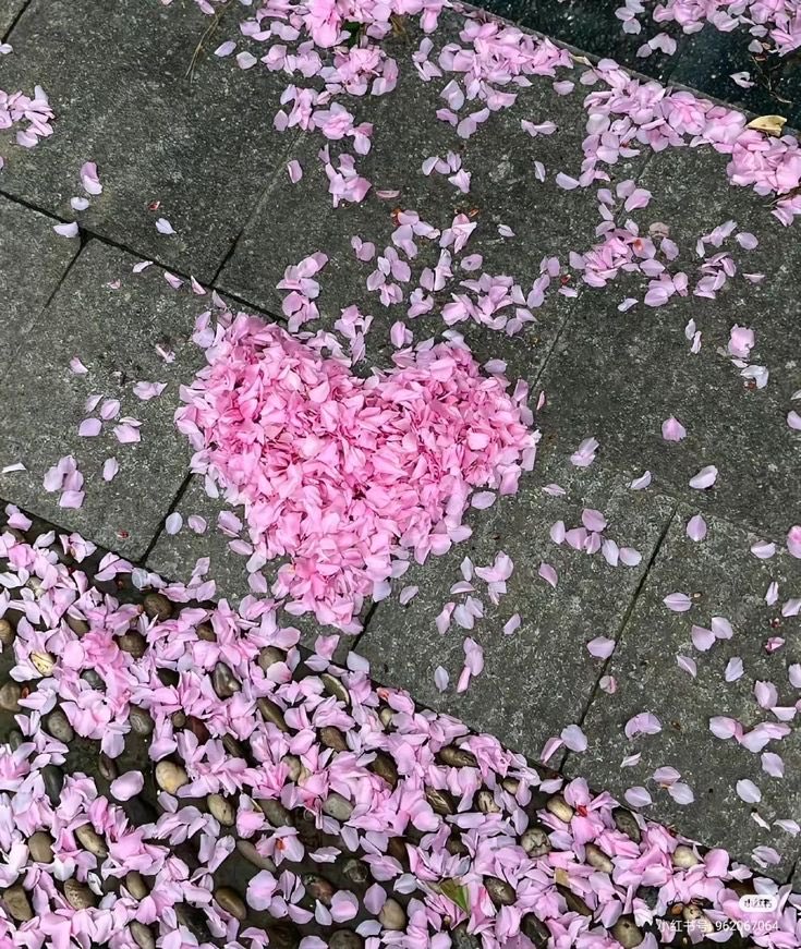 في كُلِّ شيءٍ ذكرياتٌ عندَها
وقفَتْ خُطىٰ قَلْبي وما وقفَ الزَّمَنْ!
في العُمْرِ أشياءٌ لها أثمانُها
لَـٰكنْ رأيتُ العُمْرَ… ليسَ لهُ ثَمَنْ!
⁧#عيسى_جرابا⁩

مساء الورد وصافي الود💜