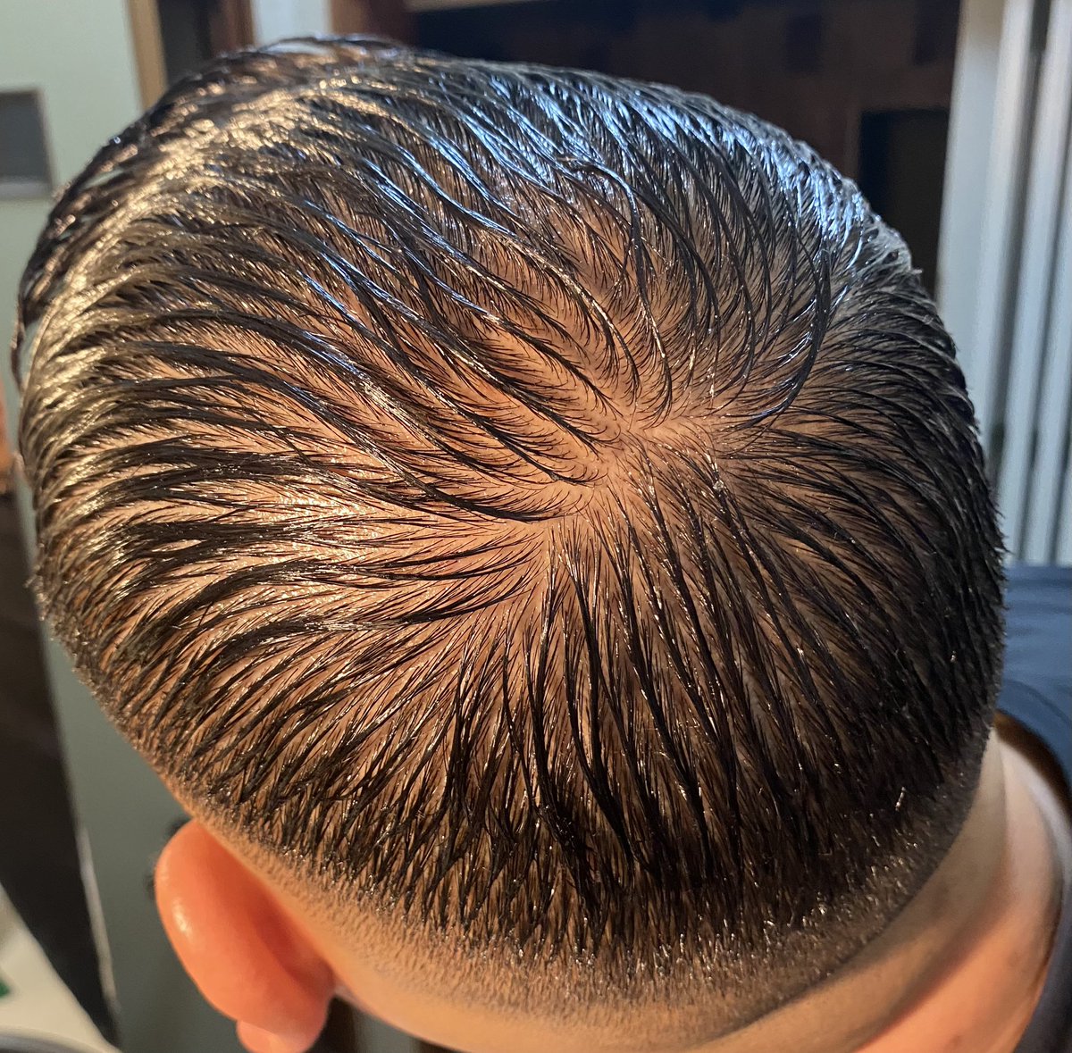 メンテナンスカット行ってきました。