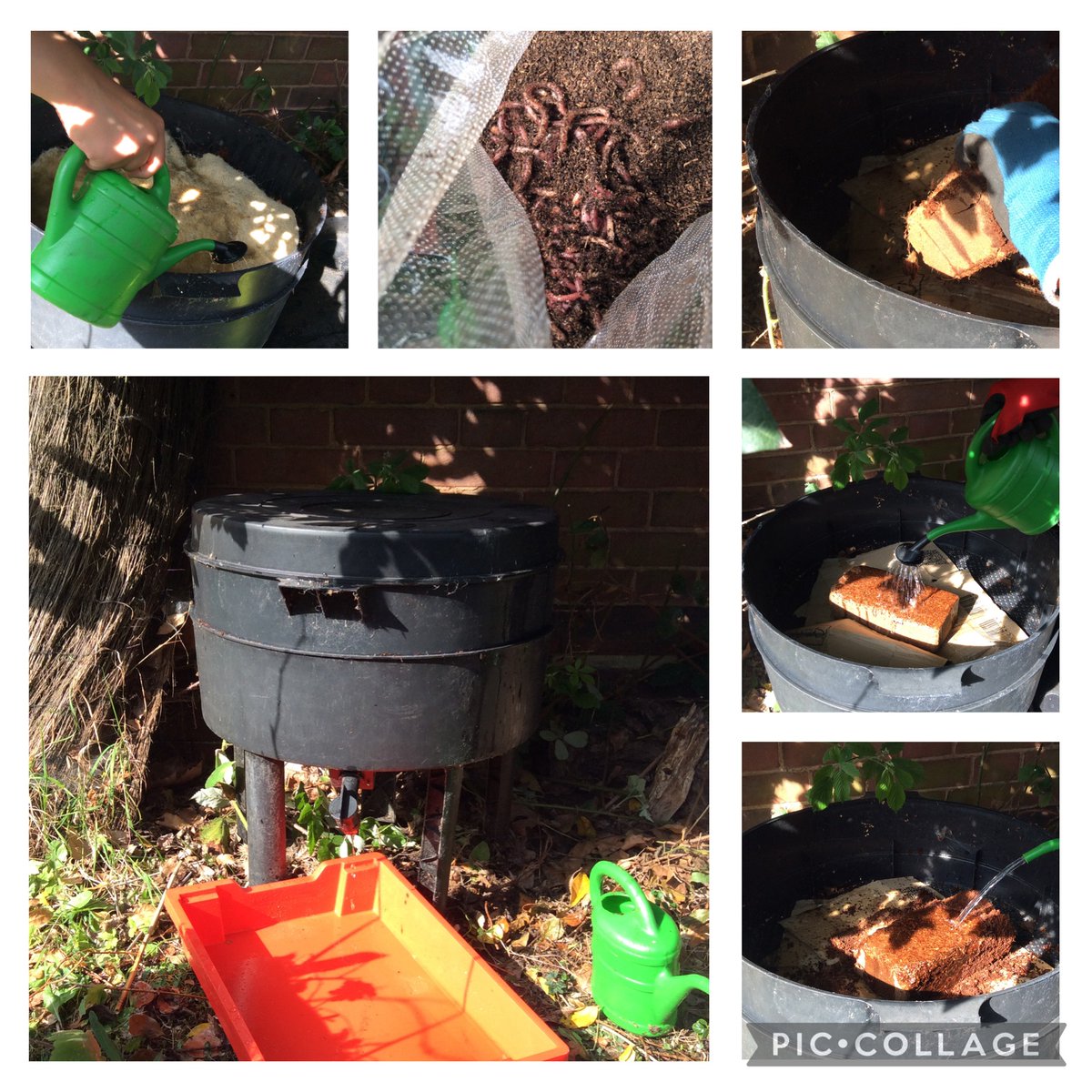 Update from the OPAL Gardening Club: With the money raised from our plant sale last week, we were able to purchase some special composting worms to go into our wormery!
