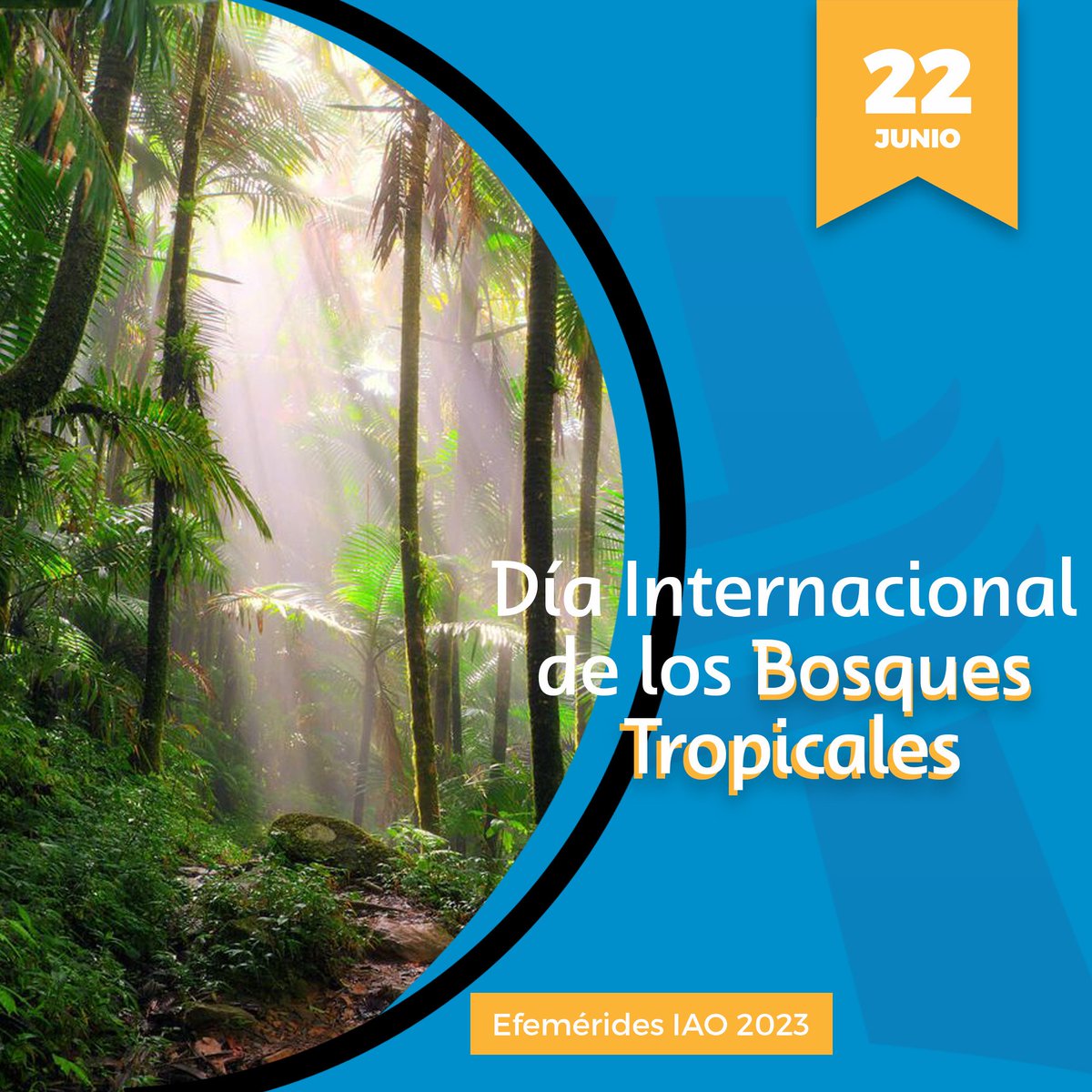 22 de junio , Día Internacional de los Bosques Tropicales. Una efeméride proclamada en el año 1999 por el Programa de las Naciones Unidas para el Medio Ambiente (PNUMA), la Organización Mundial de Conservación (WWF)  #díabosquestropicales #bosquestropicales