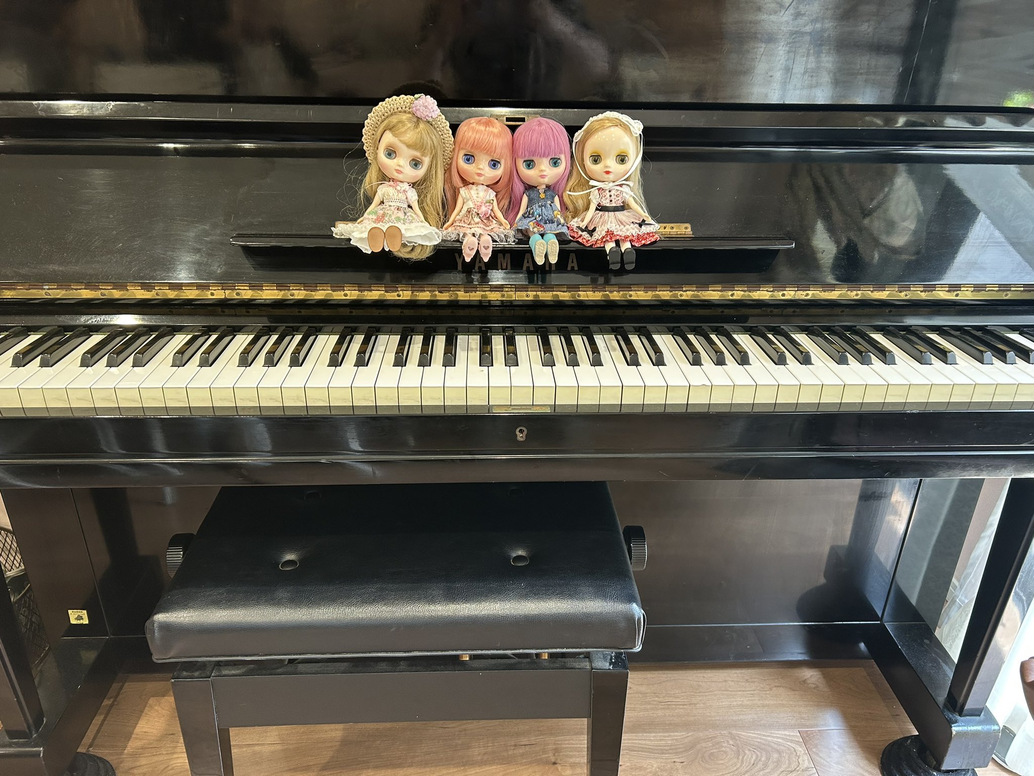 ゆかり (@yukari13cat) / X