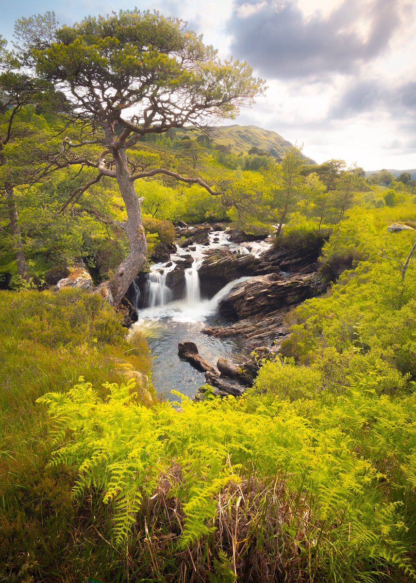 DamianShields1's tweet image. Falls of Cononish #Scotland #Argyll #Highlands damianshields.com