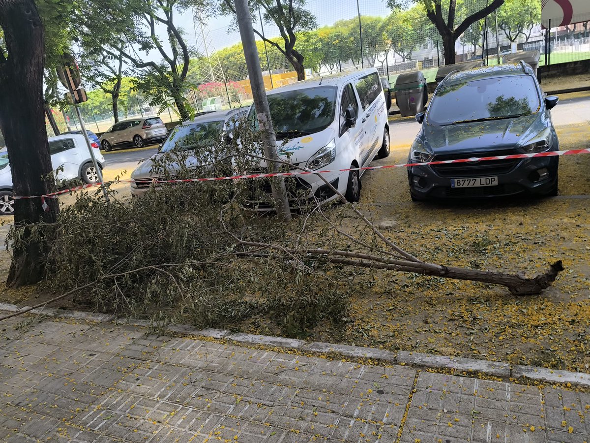 Abandono total esta rama le han puesto una cinta y con eso problema solucionado hasta que dentro de un par de semanas alguien venga a recogerla.
#BarriosAbandonados
