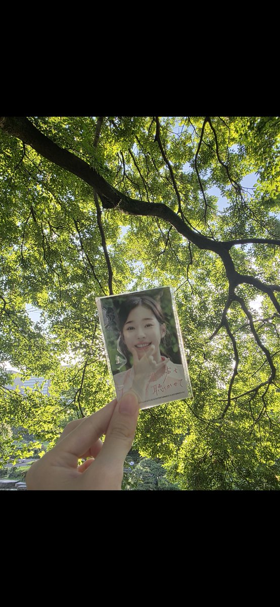 早く見たすぎる...!
#君の声を聴かせて
#청설