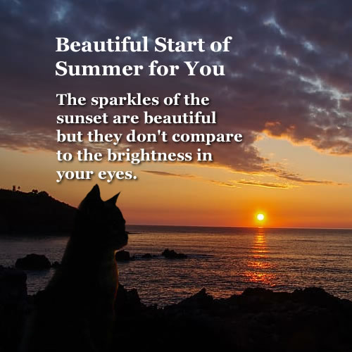 nandoova79's tweet photo. @Mylene_On_Cam OMG! Kisses, a compliment for you... The sunset sparkles are beautiful, but they don't compare to the brightness of your eyes!🌷😊I hope your shopping was good. Did you get instant Chapaghetti or the traditional kind? I wish you a great start to summer!🌈🍓🐿️ https://t.co/2TRK7nfbVo