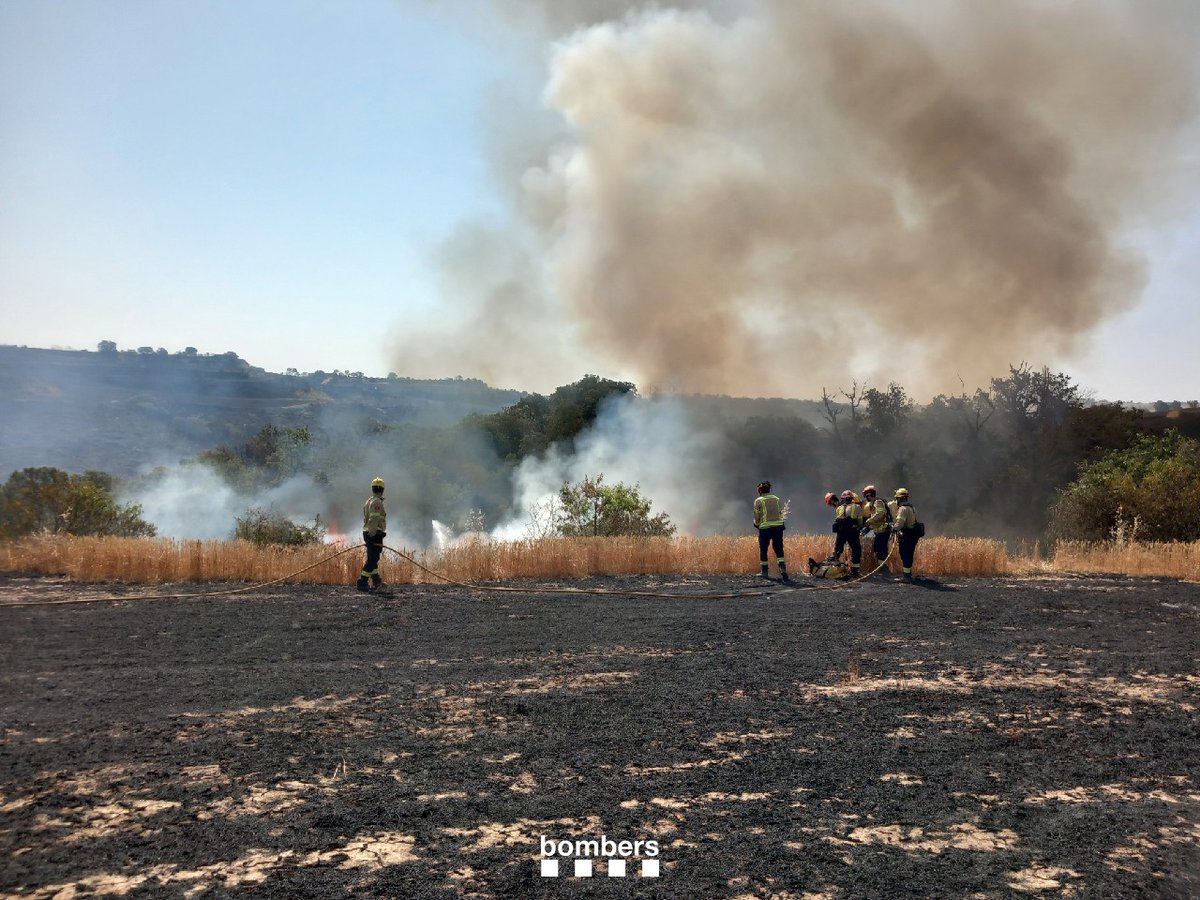 🔥 Continuem fent vigilància activa de tot el perímetre de l'#IFGranyenaDeSegarra, de 17,5km i una àrea de treball de 545ha. Repassem i assegurem tant el perímetre exterior de l'incendi, com també l'interior, on hi tenim alguna represa. Hi som amb 30🚒 i 3🚁 (166🧑‍🚒)

#bomberscat