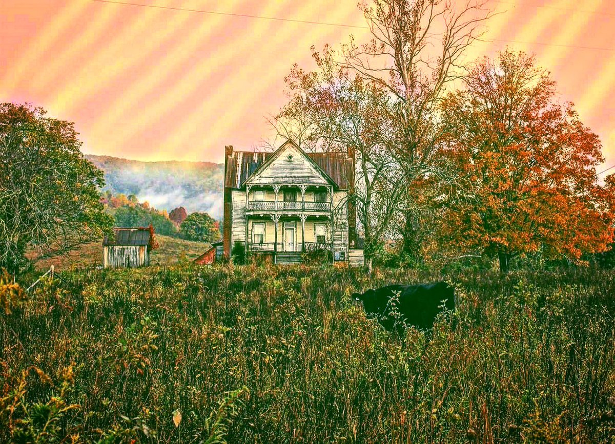 yellowdog815's tweet photo. ☀️ Sunday afternoon. Listening to Songs of Home by Edgar Allen Lee on Spotify – a heartfelt acoustic folk EP from Tennessee. Honest lyrics, simple guitar, pure storytelling. Perfect for a quiet moment. #EdgarAllenLee #SongsOfHome #AcousticFolk #NowPlaying https://t.co/UN0ox0nUyO