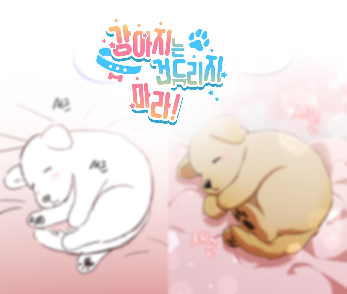 🐶강아지는 건드리지 마라🐶
에필로그 2화 업로드 되었습니다.

봄툰: bomtoon.com/detail/notouch…
레진: lezhin.com/ko/comic/dont_…

정식 사이트를 이용해주세요.
#강건마 #PawsClaws
