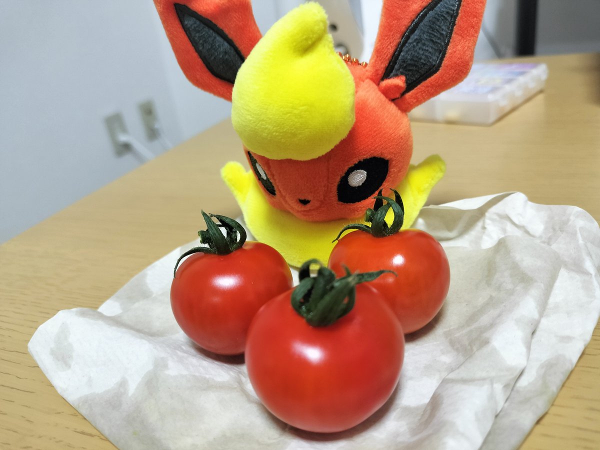 mizu32ar's tweet photo. 自家製マトマの実🍅✨
1回目の収穫は種植えから100日くらいでした https://t.co/uAoupjlPZj