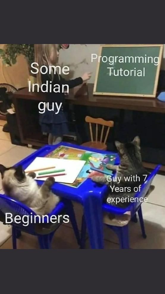 TheTechDuo_12's tweet image. "Caught this epic meme! An Indian guy teaching a programming tutorial with a beginner cat and a 7-year-experience cat stealing the show.  😅😂#ProgrammingMemes #TechHumor #IndianTech #CodingLife #FunnyCats #MemeLovers"