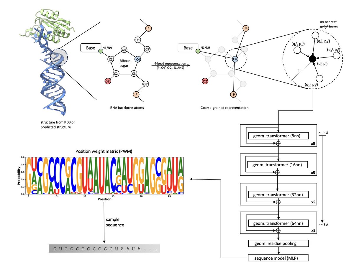 Biology+AI Daily tweet media