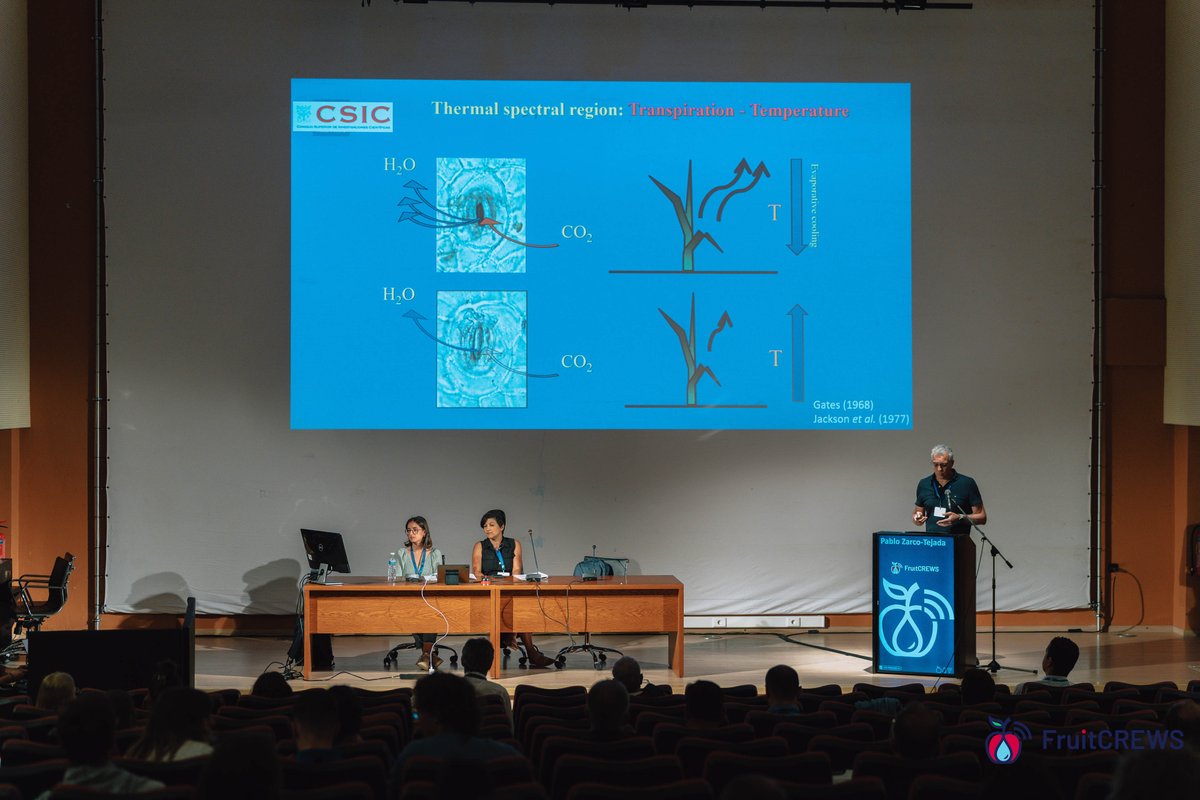 George Manganaris (@gmanganaris) on Twitter photo <a href="/FruitCrews/">FruitCREWS</a> annual meeting
Many thanks to <a href="/ZarcoTejada/">Pablo J. Zarco-Tejada</a> for his solid keynote speech on new developments in #hyperspectral imaging to track #photosynthetic effects of #water #stress
<a href="/CSIC/">CSIC</a>
Key messages:
Traits derived from hyperspectral & thermal data are dynamically linked <a href="/FruitCrews/">FruitCREWS</a> annual meeting
Many thanks to <a href="/ZarcoTejada/">Pablo J. Zarco-Tejada</a> for his solid keynote speech on new developments in #hyperspectral imaging to track #photosynthetic effects of #water #stress
<a href="/CSIC/">CSIC</a>
Key messages:
Traits derived from hyperspectral & thermal data are dynamically linked