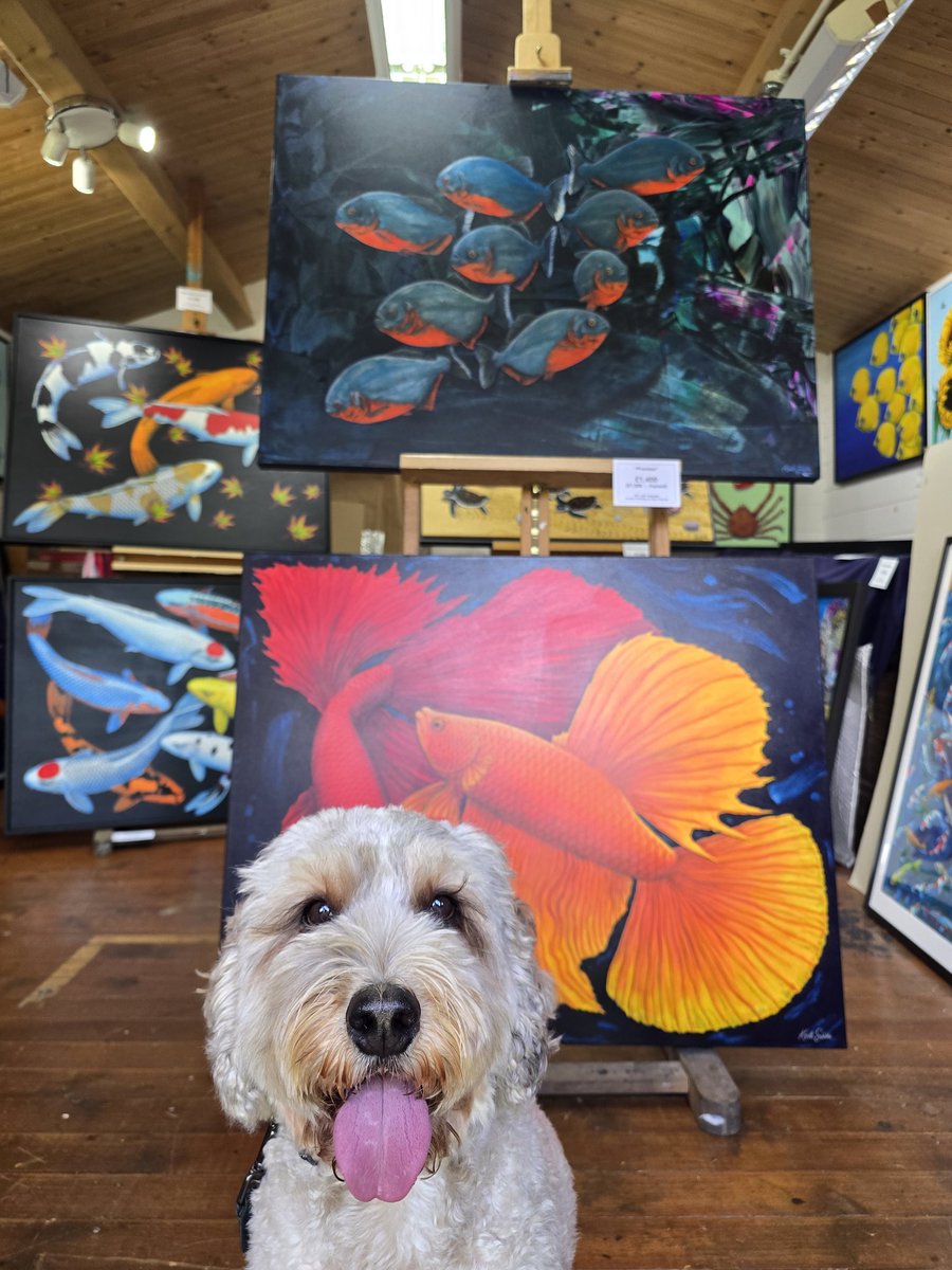 JlpRoger's tweet image. Only a few hours left to visit @keithsiddleart open studio in #langtongreen. Two reasons to visit and buy. 1. They look superb close up. 2. we are taking him away later this year and he'll need the cash 😁👍🏻#tunbridgewells
