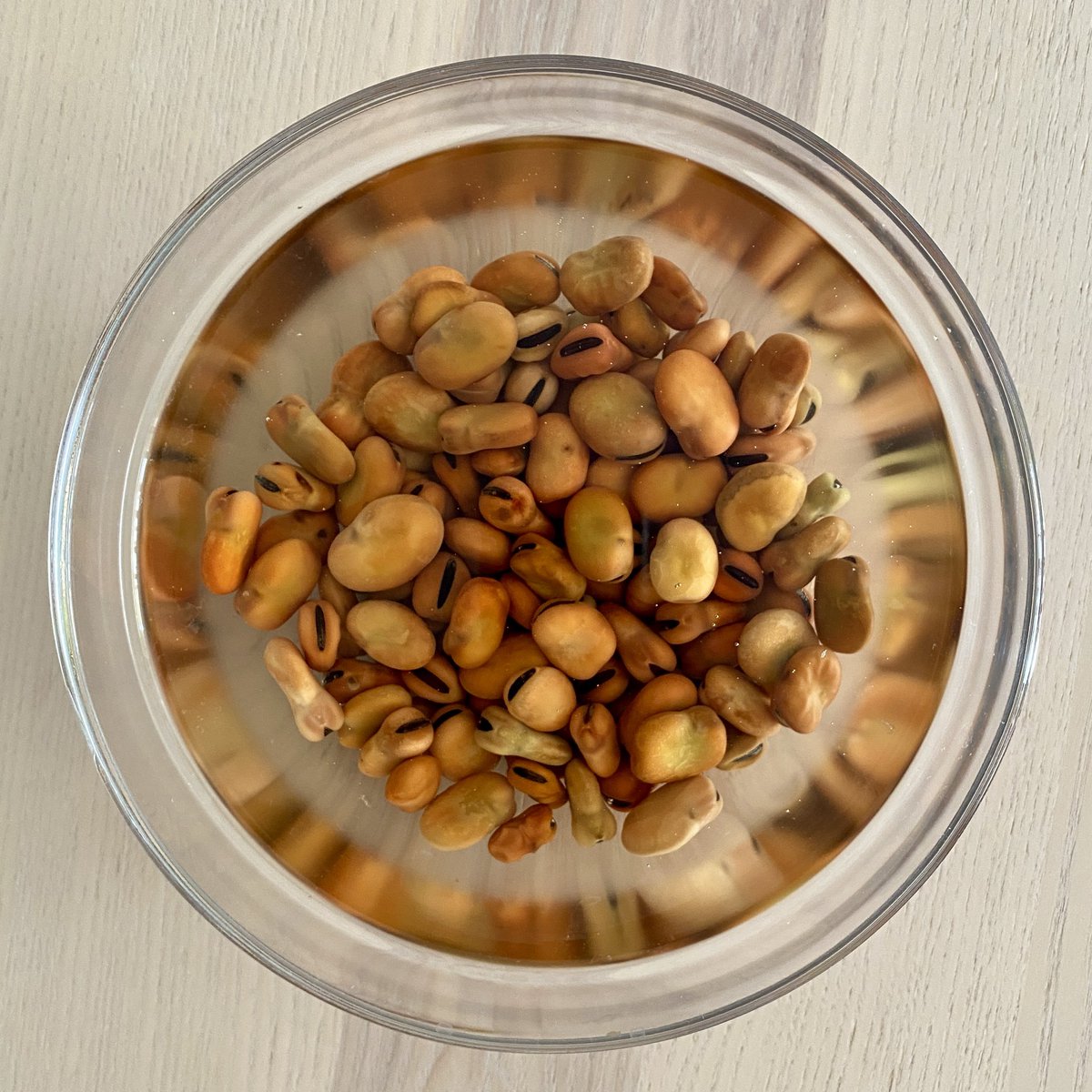 Una finestra des de l'espai tweet media