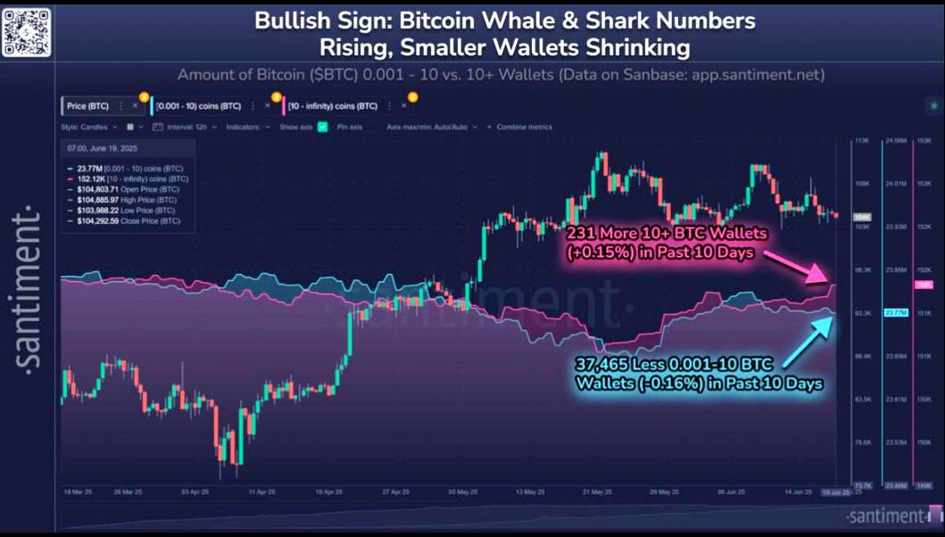 Whales Stack, Retail Retreats✅

📈 231 more wallets now hold 10+ $BTC (whales &amp; sharks growing)

📉 37,465 fewer wallets hold 0.001–10 $BTC (small holders exiting)  

Big players turn bullish while retail steps back. Are you following smart money?