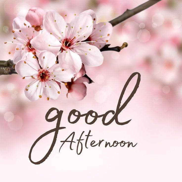 HAPPY SUNDAY